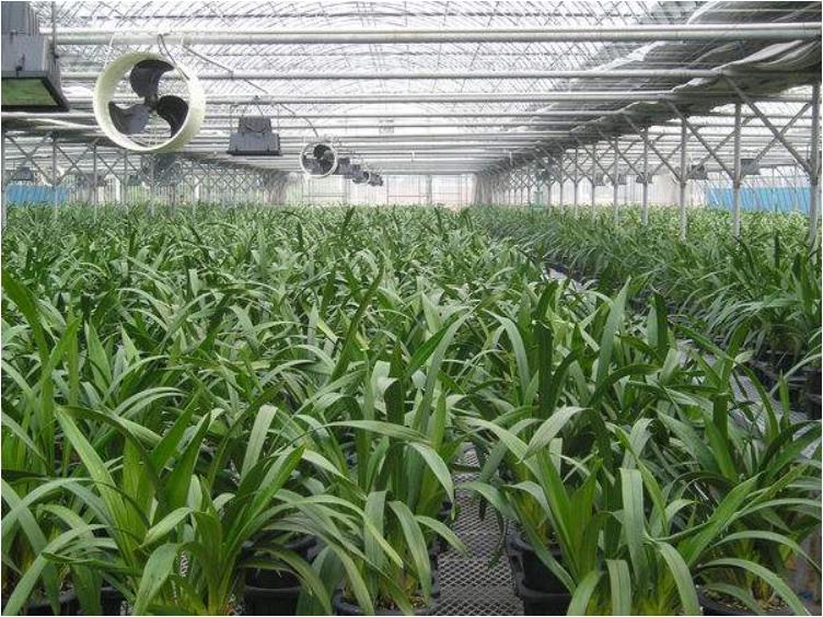 恆溫溫(wen)室(shi)大棚